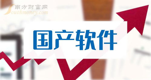 國產(chǎn)軟件龍頭及八家上市公司盤點 聚焦2024網(wǎng)絡(luò)與信息安全軟件開發(fā)